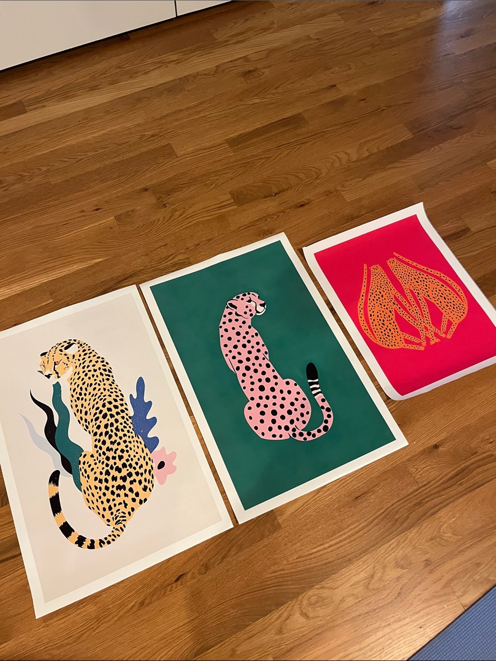 Big CatCanvas Art